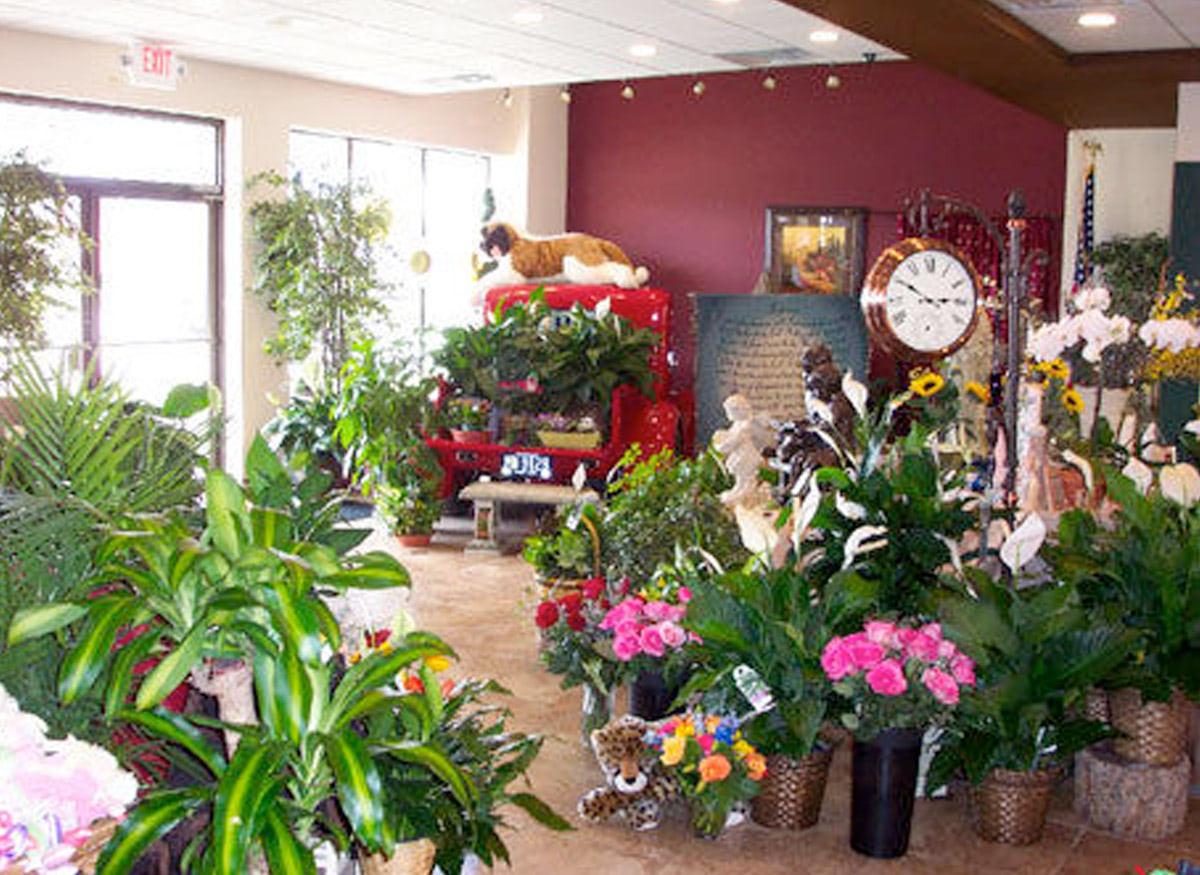 Take a step inside our bright, welcoming St. Clair Shores showroom